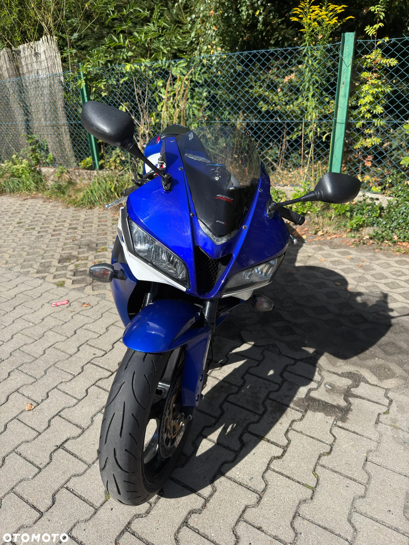 Honda CBR - 6