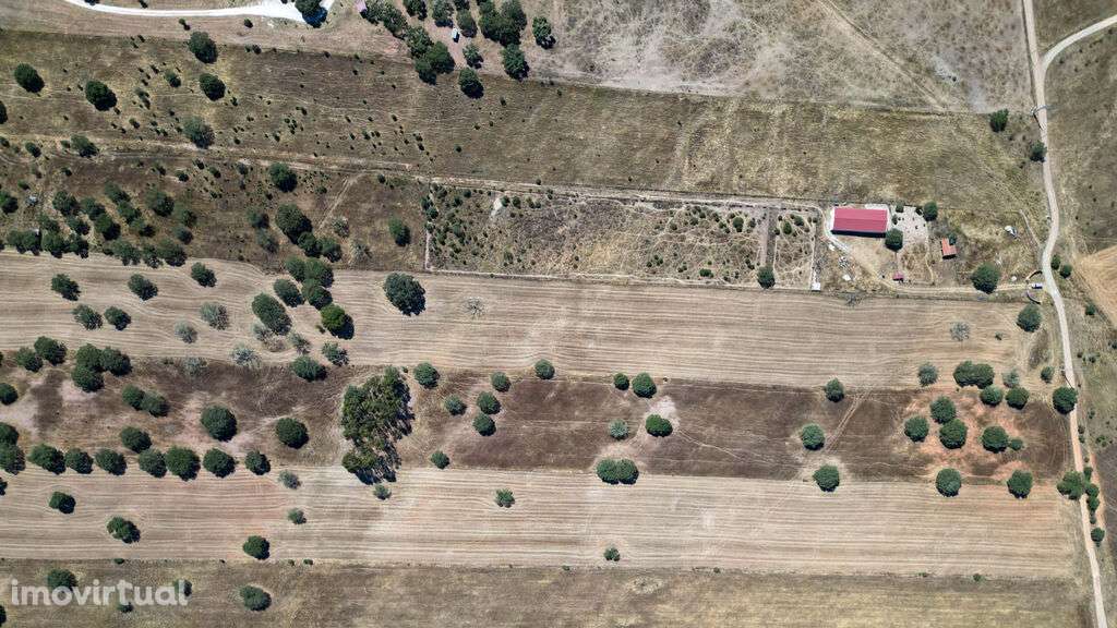 Terreno Misto com 4 Hectares e Armazém Licenciado a 5 Minutos de Monsa - Grande imagem: 4/14