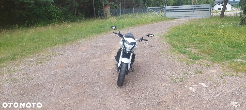 Honda Hornet - 5