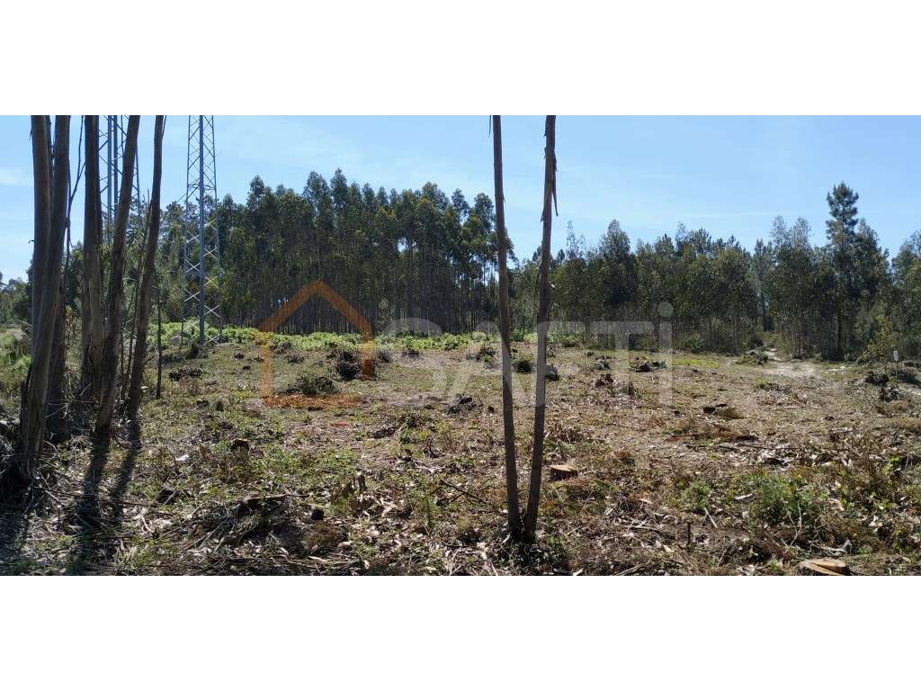 Terreno em zona industrial - Grande imagem: 4/8