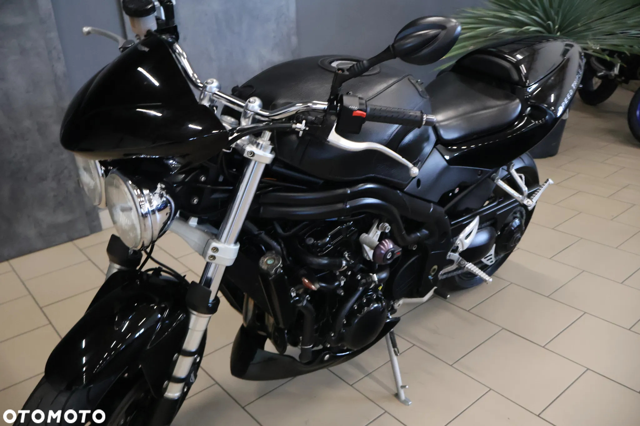 Triumph Speed Triple - 22