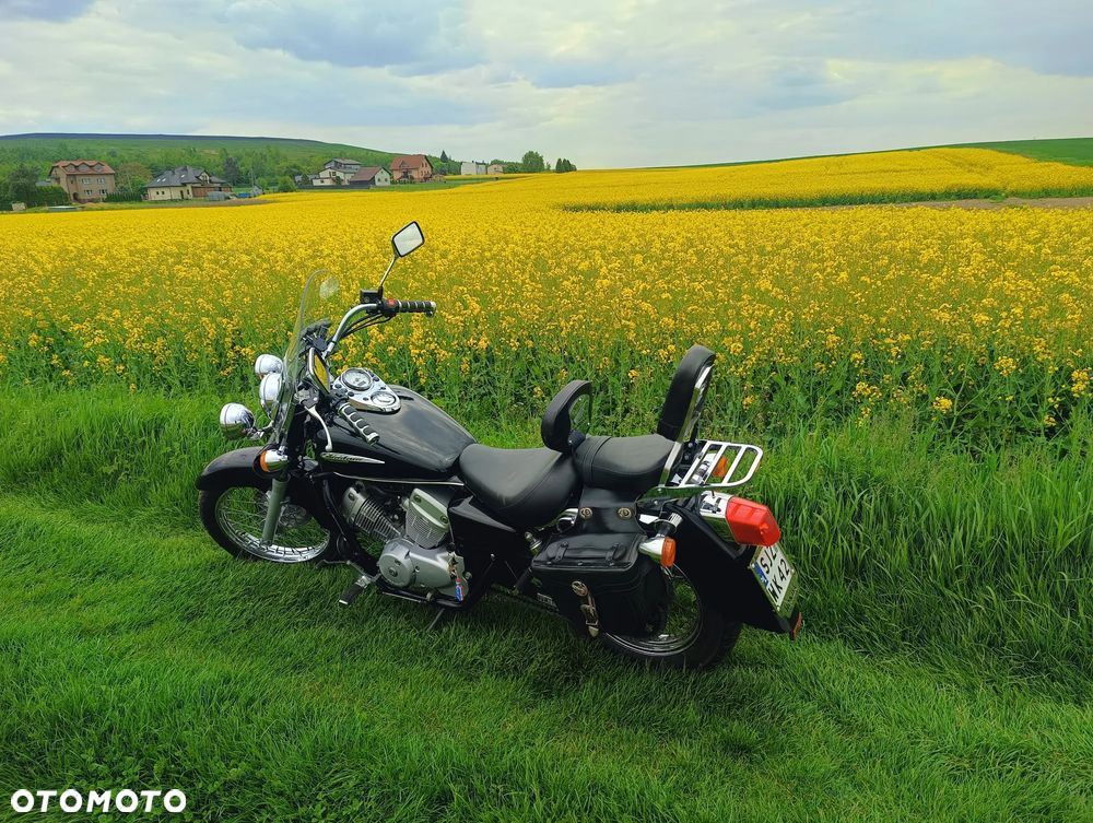 Honda Shadow - 11