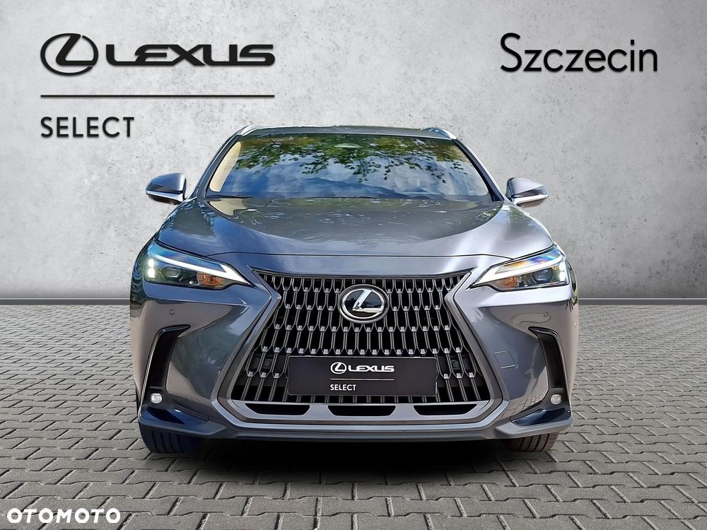 Lexus NX 350h Prestige 2WD - 7