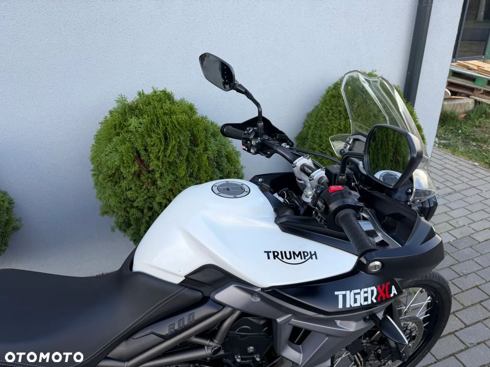 Triumph Tiger - 19