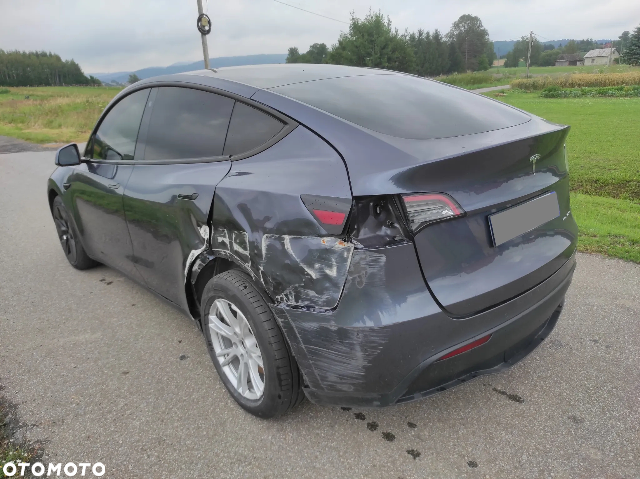 Tesla Y Model RWD - 4