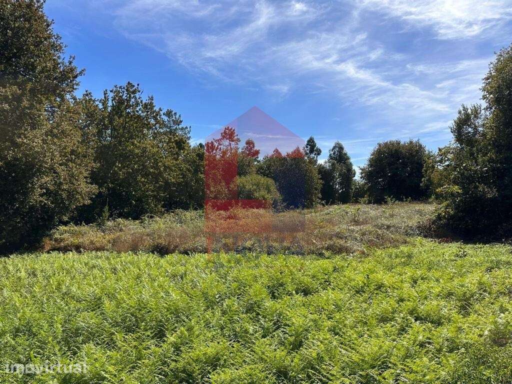 Terreno agrícola,  Escariz São Mamede - Grande imagem: 5/13