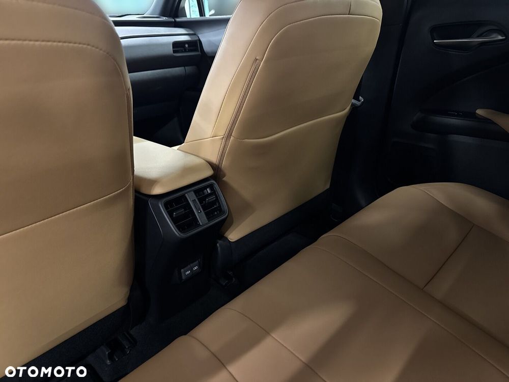 Lexus UX 300h F Sport Design - 12