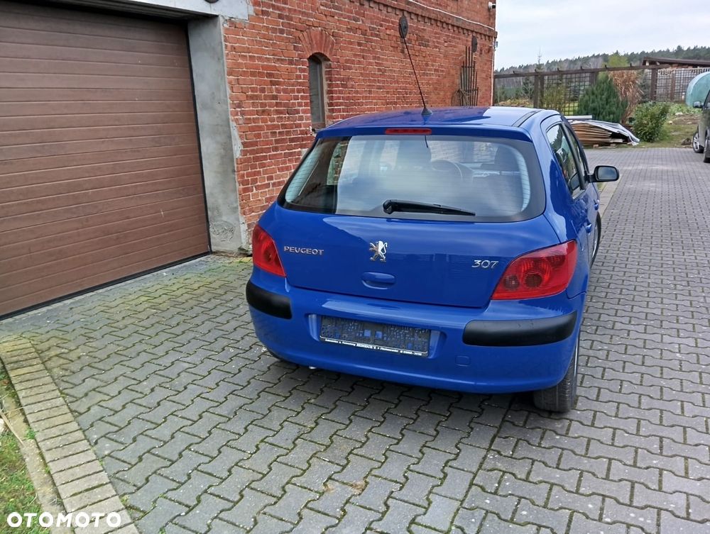 Peugeot 307 1.4 Mistral - 8