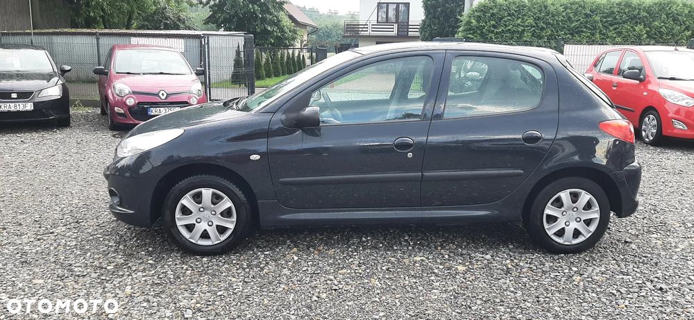 Peugeot 206 plus - 19