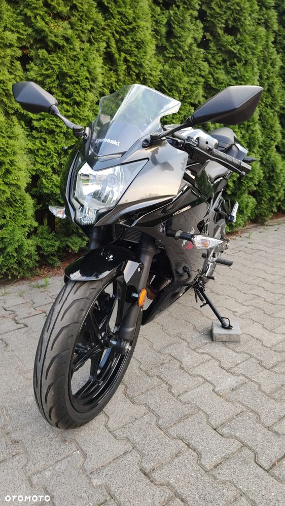 Kawasaki Ninja - 1