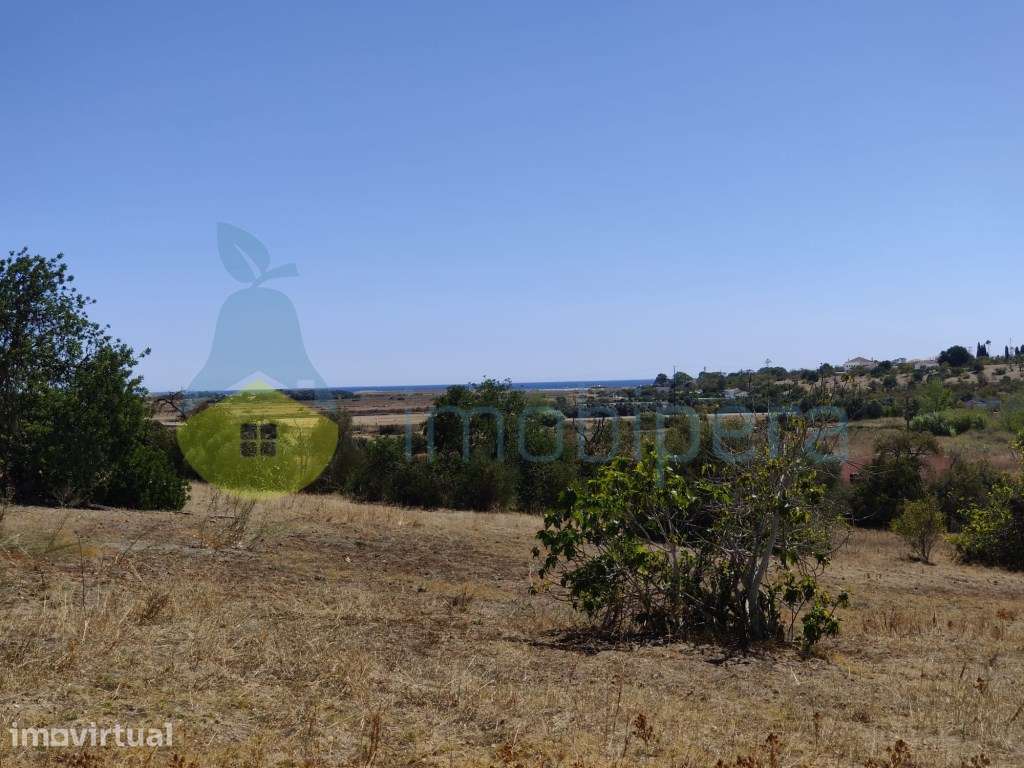 PÊRA - LOTE DE TERRENO URBANO VISTA MAR PARA CONSTRUÇÃO DE MORADIA ... - Grande imagem: 4/8