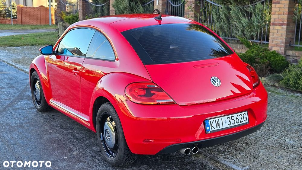 Volkswagen Beetle - 5