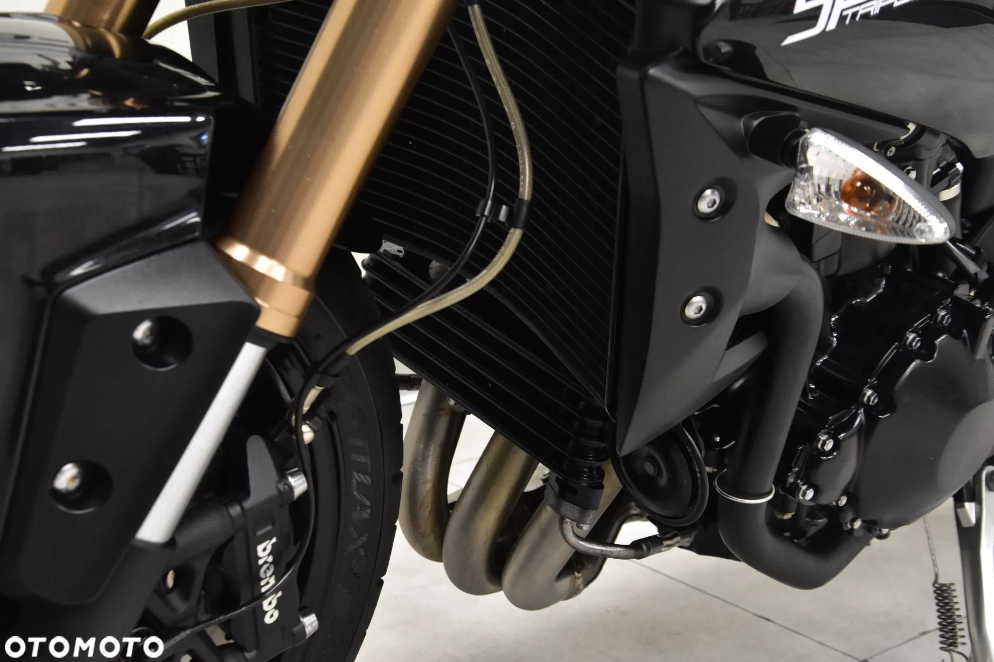 Triumph Speed Triple - 23