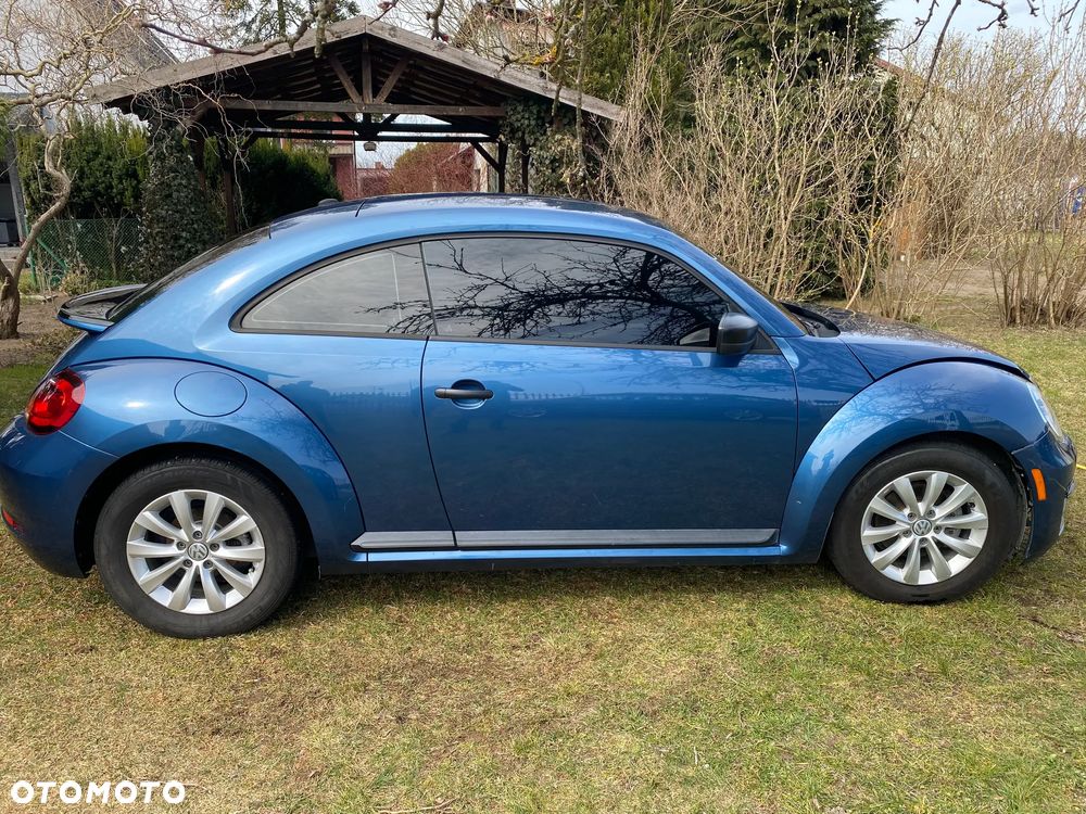 Volkswagen Beetle - 5