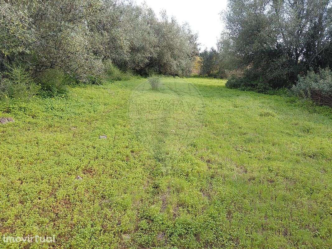 Terreno  para venda - Grande imagem: 2/15