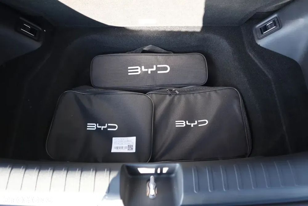 BYD Dolphin Surf Comfort - 26