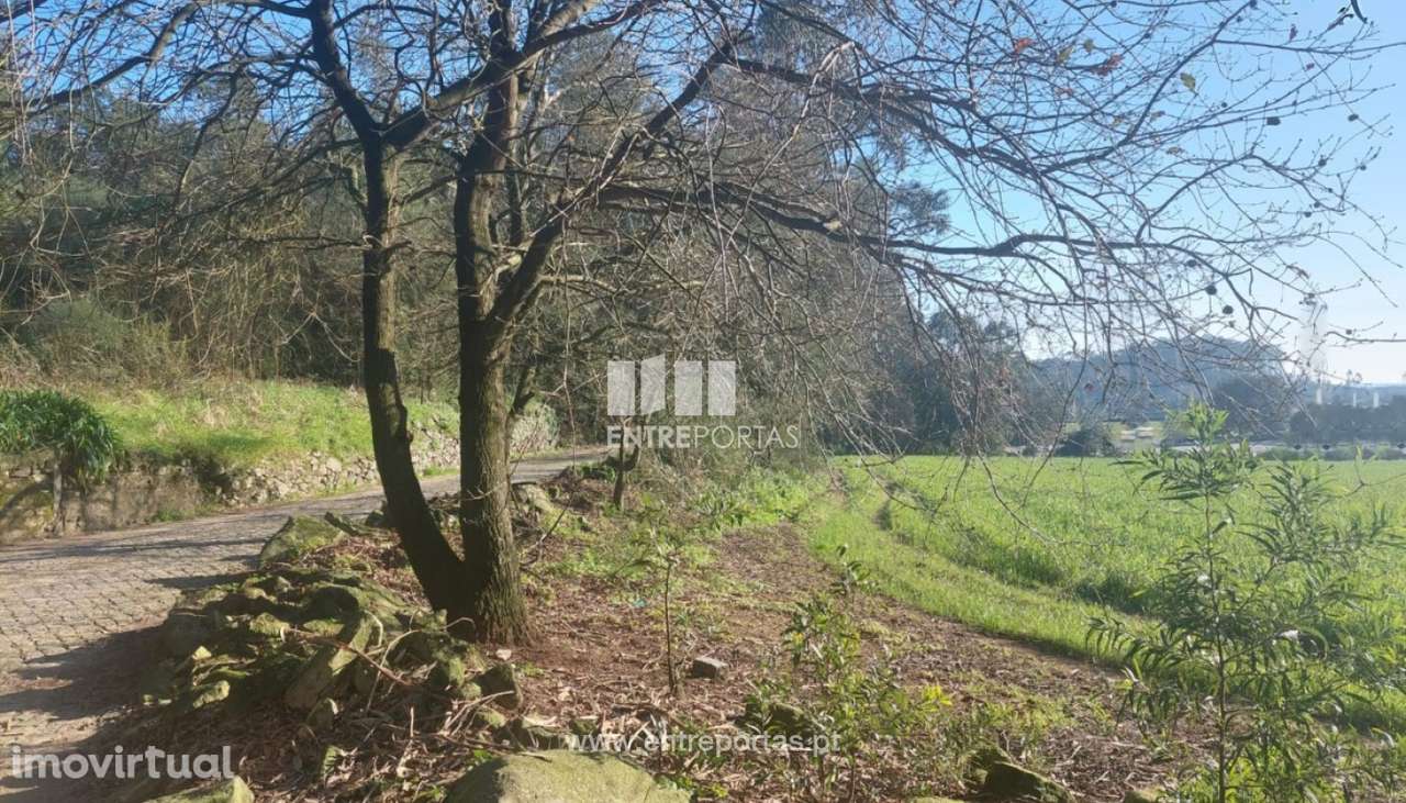 Venda de Terreno, Vairão, Vila do Conde - Grande imagem: 5/11
