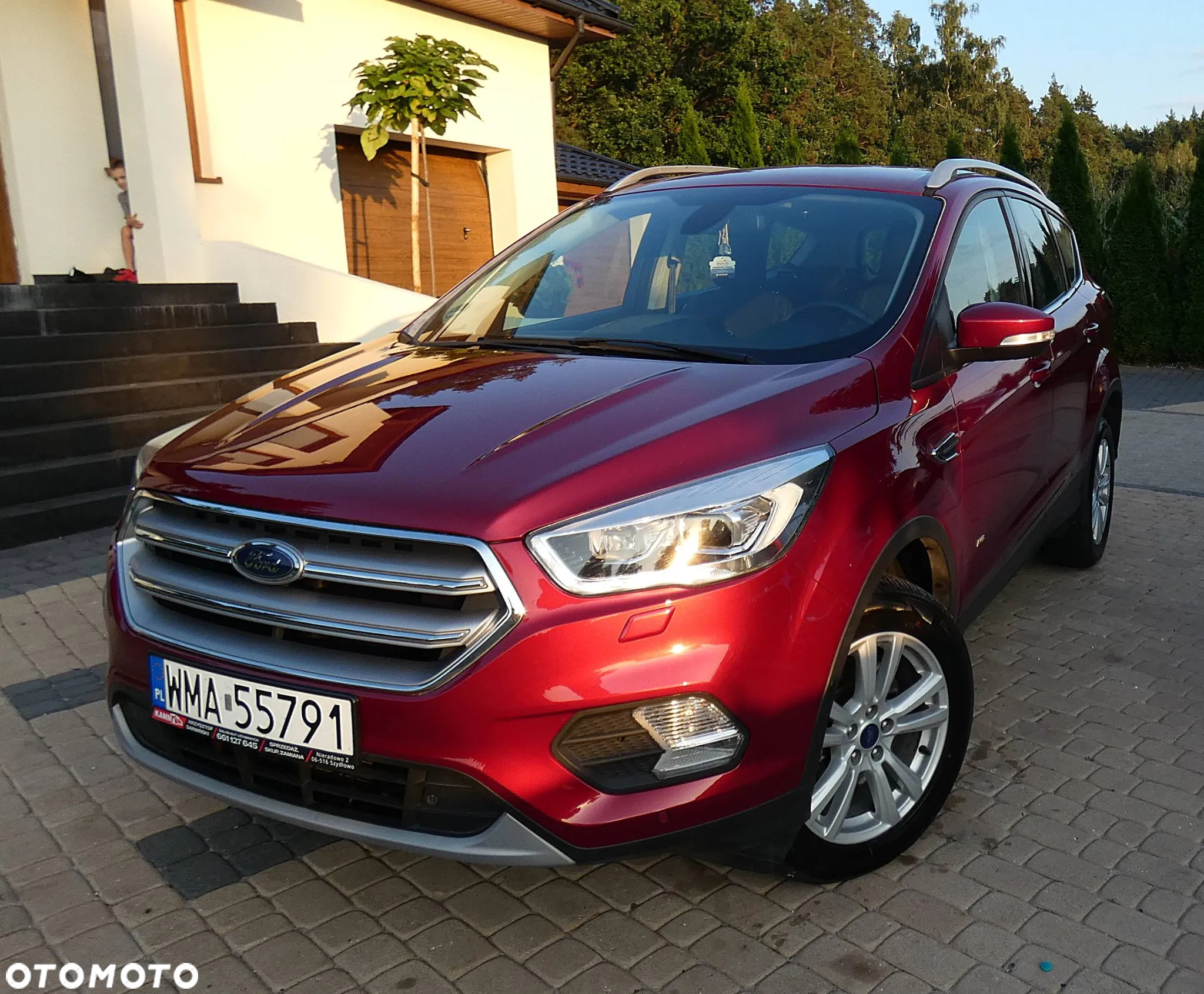 Ford Kuga 1.5 EcoBoost AWD Titanium ASS - 37