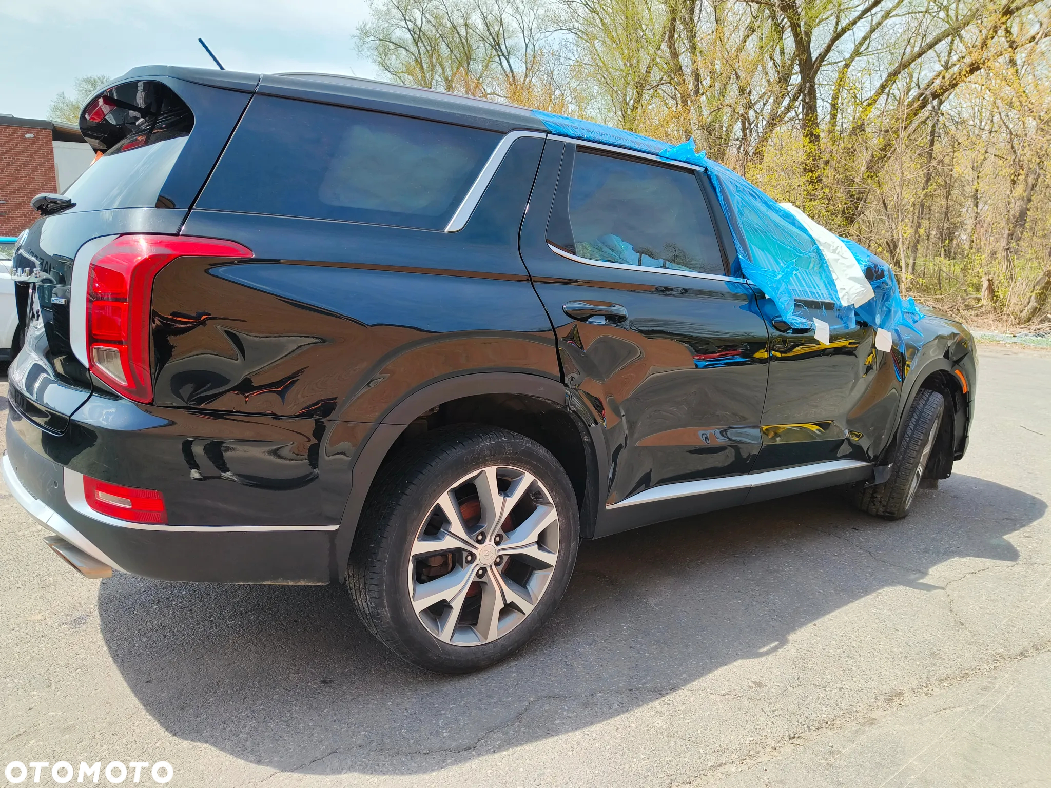 Hyundai Palisade - 23