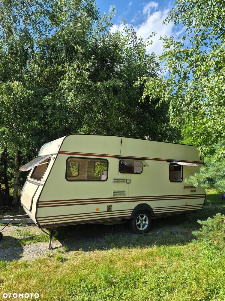 Inny Münsterland Siesta 480 - 1