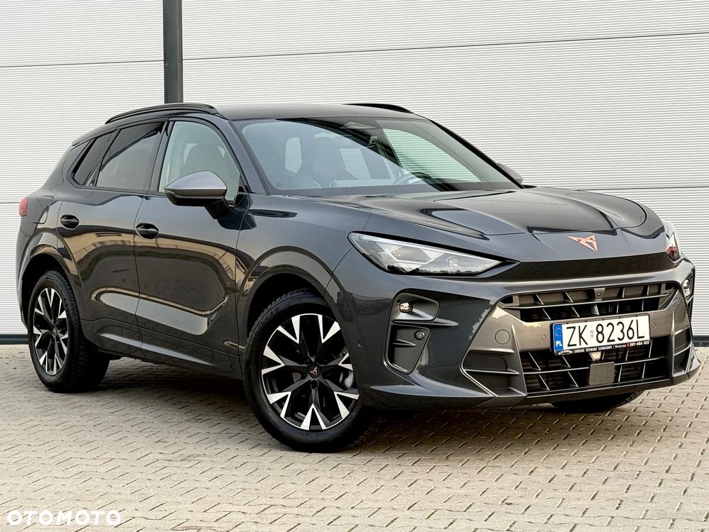Cupra Terramar 1.5 eTSI DSG Tribe Edition - 12