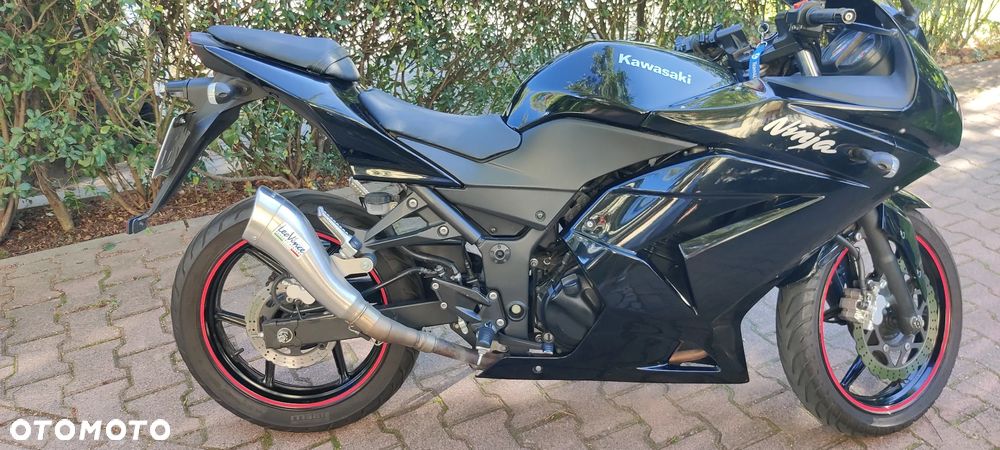 Kawasaki Ninja 250R - 3