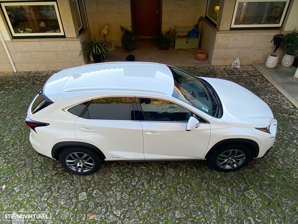 Lexus NX 300h Luxury 4WD - 11