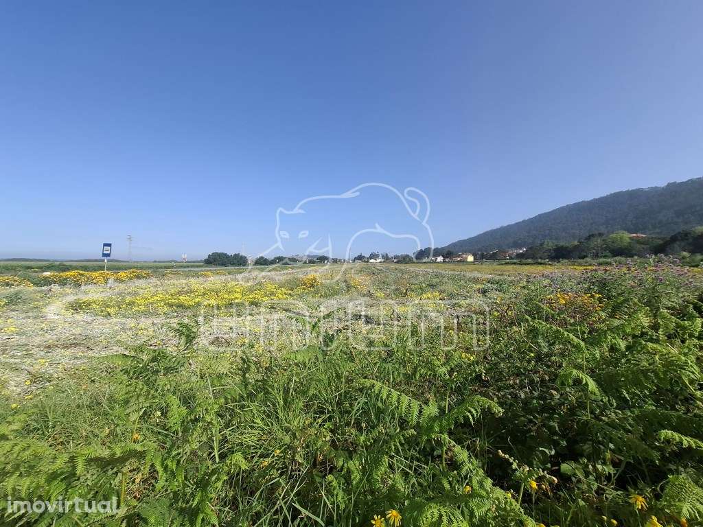 Terreno em Carreço - Grande imagem: 2/5