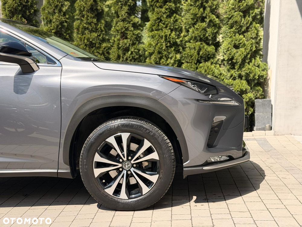 Lexus NX - 6