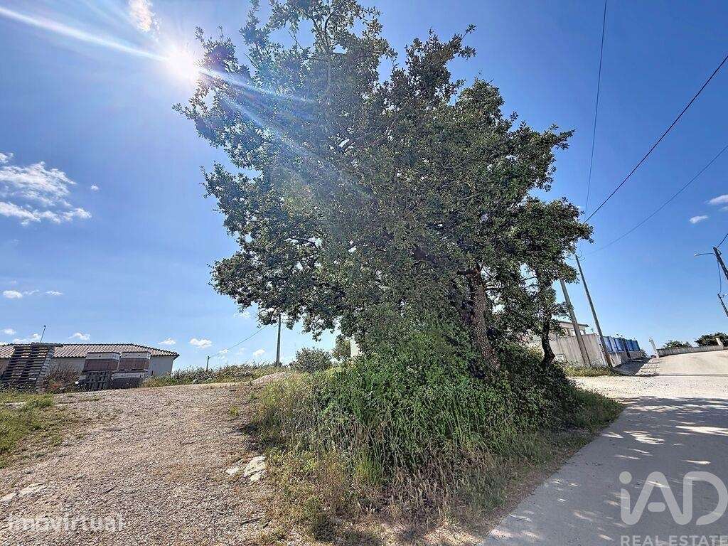 Terreno para construção em Alqueidão da Serra - Grande imagem: 5/18