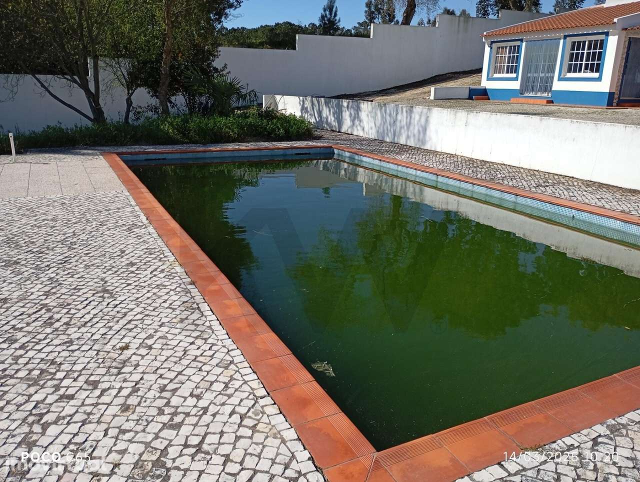 BAIXA DE PREÇO Quinta / Herdade em sitio idílico e soalheiro. Grande t - Grande imagem: 4/29