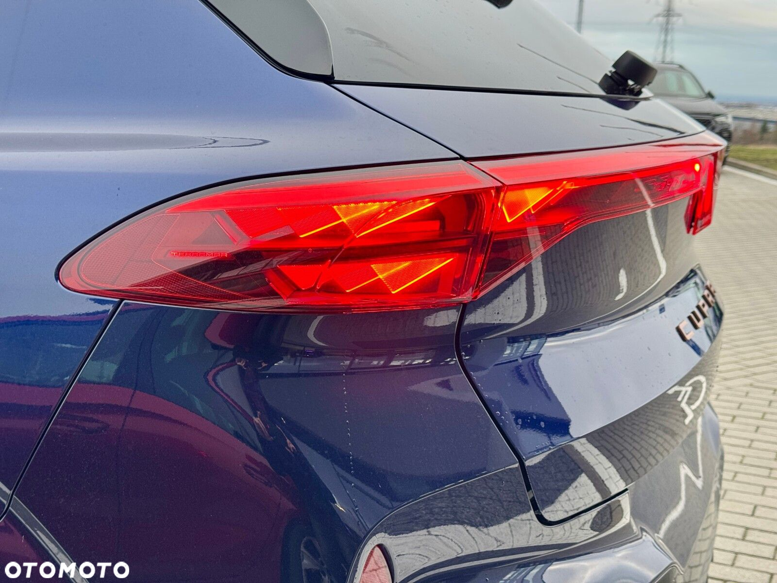 Cupra Terramar 2.0 TSI 4Drive DSG - 11