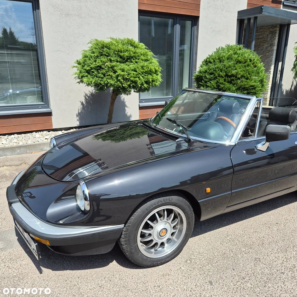 Alfa Romeo Spider - 30