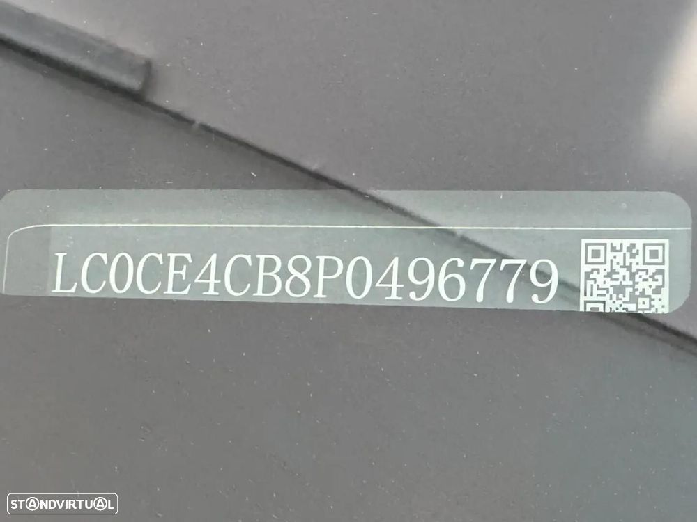 BYD Dolphin - 50