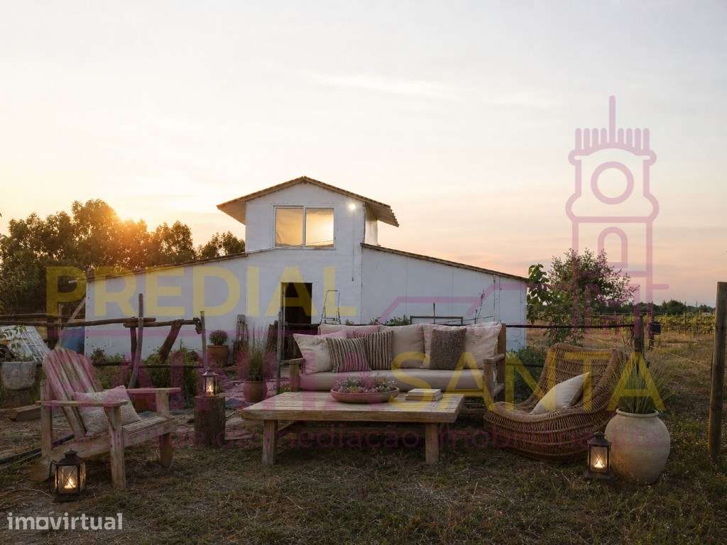 Terreno rústico com 3,5 hectares em Alpiarça, Santarém, a 1 hora de... - Grande imagem: 2/8