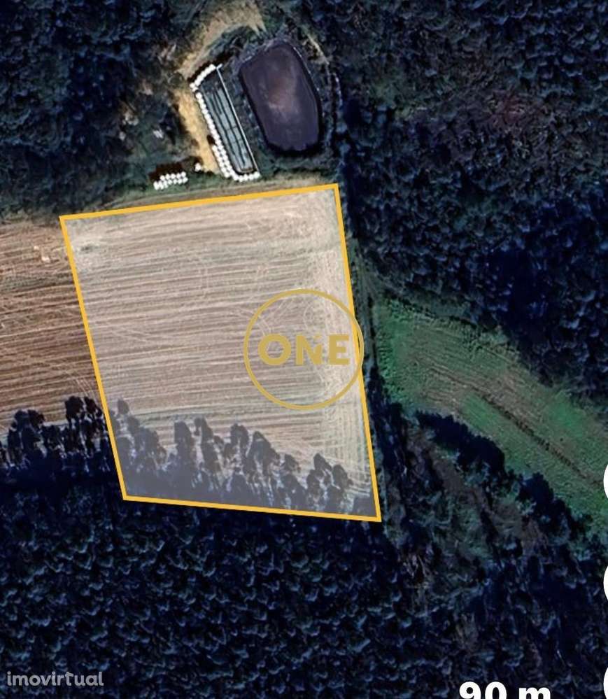 Terreno Agrícola em Laundos - Grande imagem: 2/3