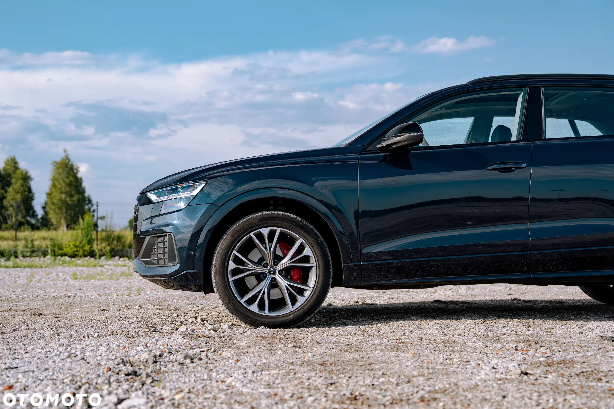 Audi Q8 - 8