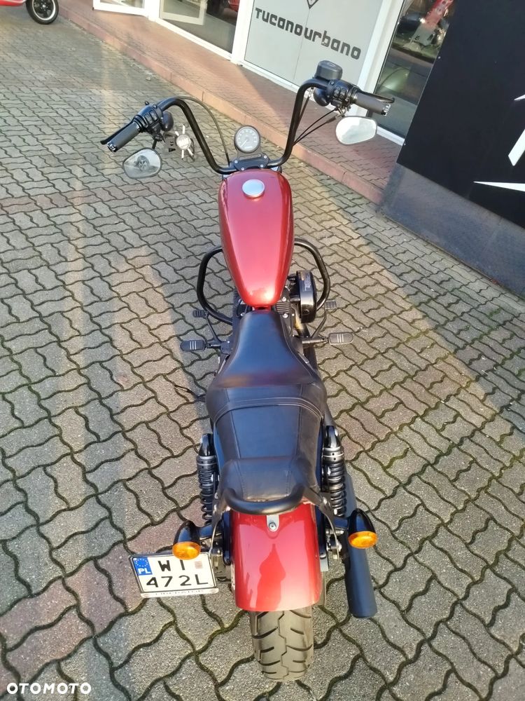 Harley-Davidson Sportster Iron 883 - 4
