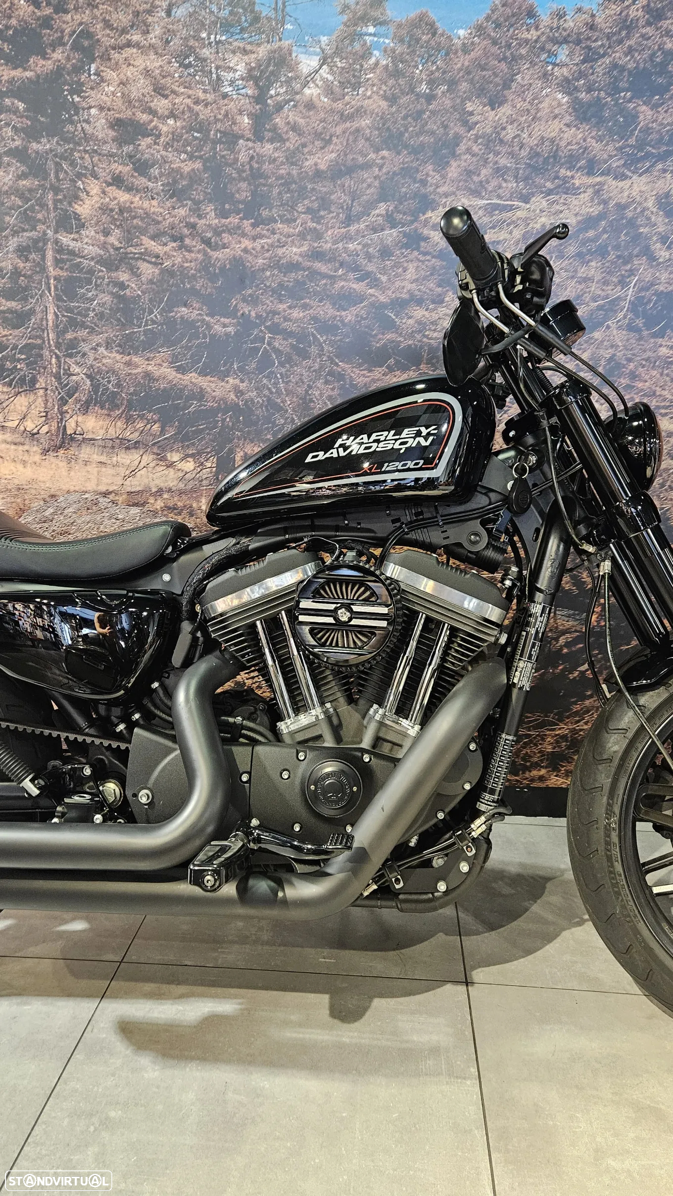 Harley-Davidson Sportster Roadster 1200 - 13