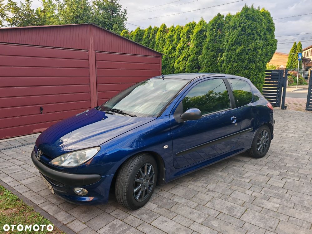 Peugeot 206 - 8