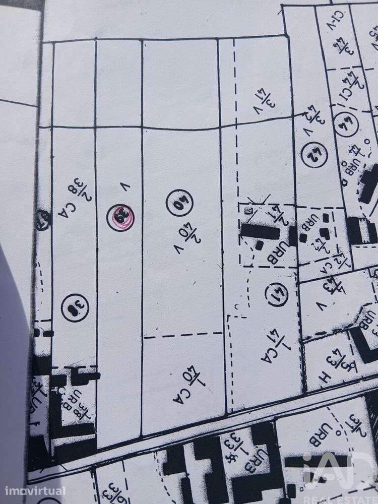 Terreno Agrícola em Almeirim - Grande imagem: 5/5