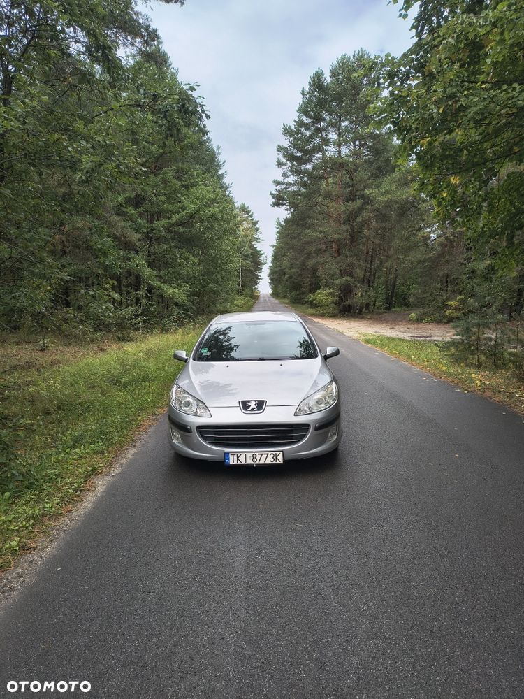 Peugeot 407 - 1