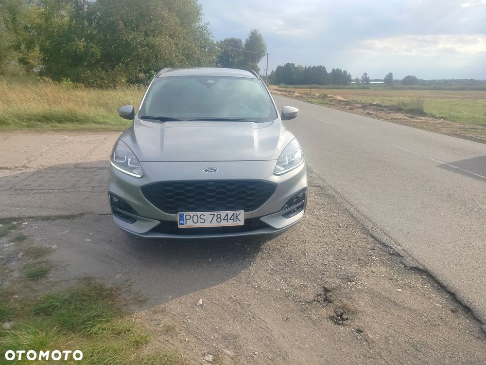 Ford Kuga 2.5 Duratec FHEV ST-LINE - 14