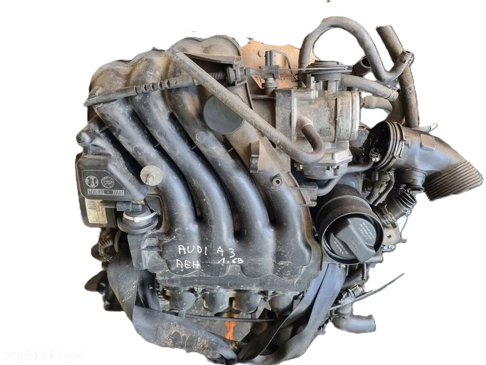 AUDI A3 8L 96-03 r. SILNIK 1,6 BENZYNA OZNACZENIE SILNIKA AEH + - 1