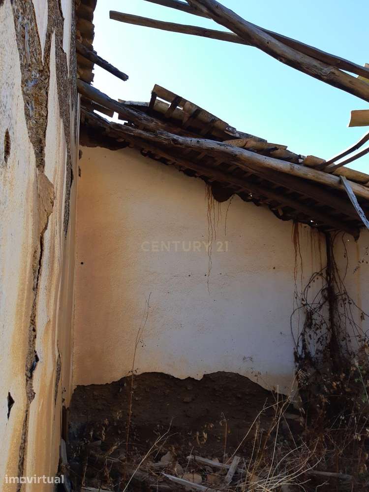 TERRENO MISTO | 14HA COM SOBREIROS | SÃO BARNABÉ-ALMODÔVAR - Grande imagem: 5/13