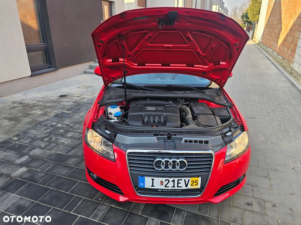 Audi A3 Cabrio 1.6 Ambition - 11