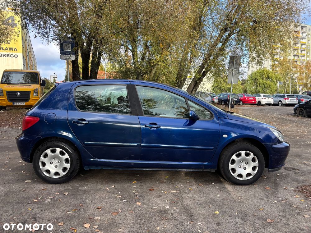 Peugeot 307 - 6