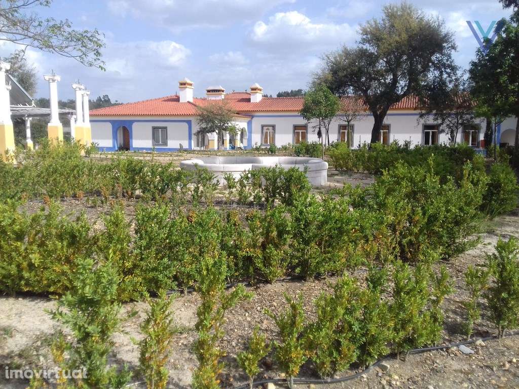 Quinta charmosa de agro-turismo em Al... - Grande imagem: 5/45