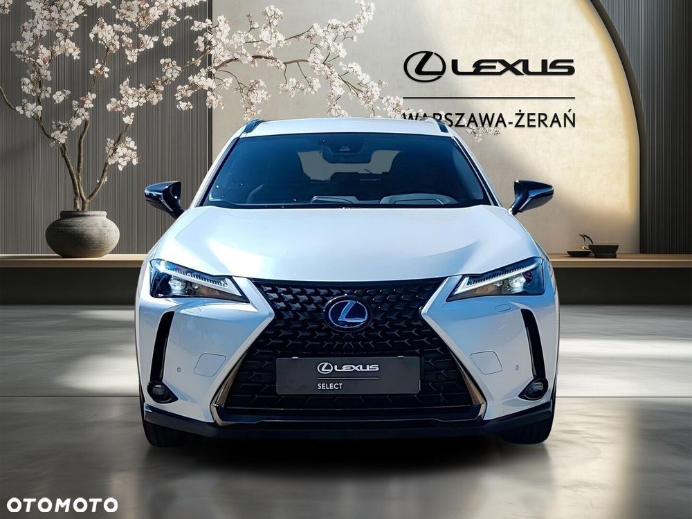 Lexus UX 250h GPF F Impression 2WD - 10