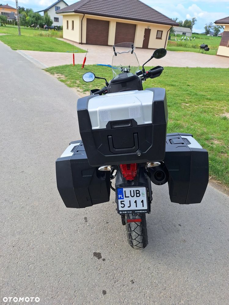 Triumph Tiger - 8
